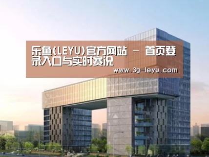 案例展示四
