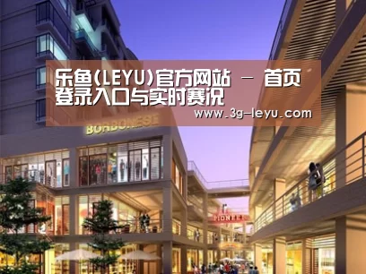 案例展示一