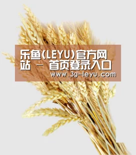 乐鱼(LEYU)官方网站 - 首页登录入口与实时赛况